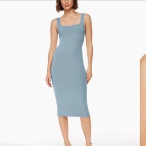 Aritzia Dress